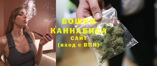 Альфа ПВП Белокуриха