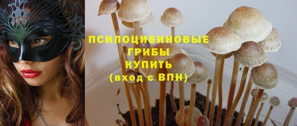 Альфа ПВП Белокуриха