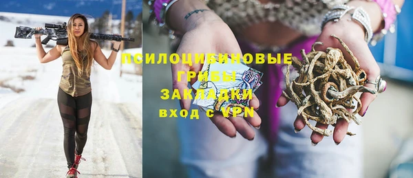 Альфа ПВП Белокуриха