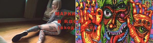 Альфа ПВП Белокуриха
