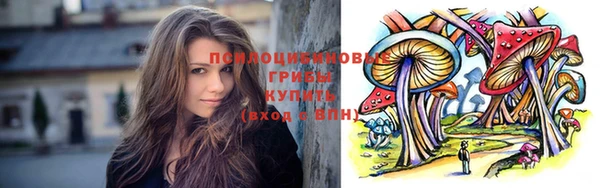 Альфа ПВП Белокуриха