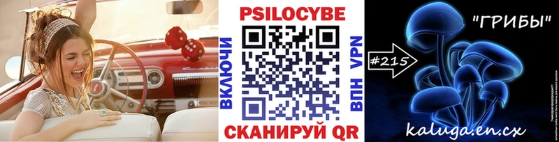 Галлюциногенные грибы Psilocybine cubensis  ссылка на мегу tor  Холм 